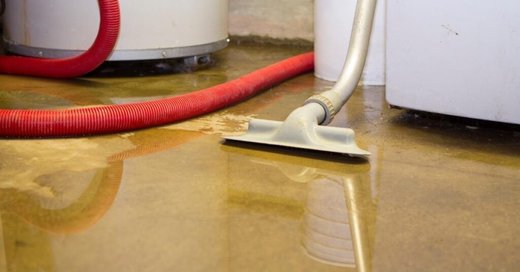 Sewage Cleanup