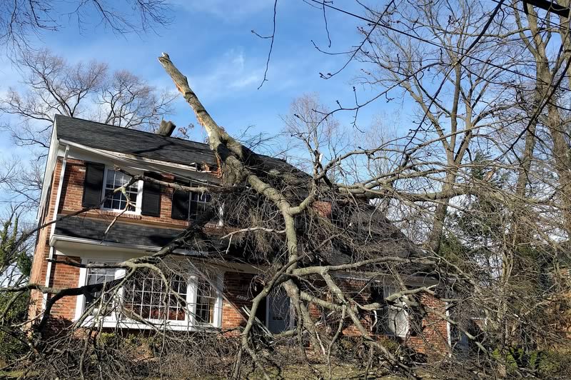 Storm Damage Cleanup & Repair